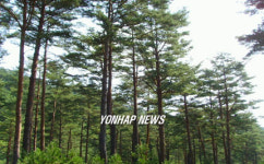 제1회 살기좋은 지역만들기 지역자원  경연대회