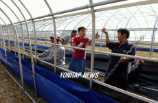 비닐하우스 만드는 농민