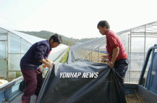 비닐하우스 만드는 농민