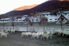 강원도에 준공된 원산목장