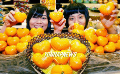 하트 모양의 귤 맛보세요