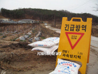 저병원성 AI 양평 농가