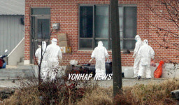 AI 발생 농가 방역