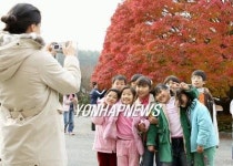 <카메라뉴스> 청단풍과 함께 추억만들기
