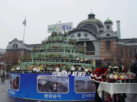 봉화 춘양목 서울 나들이