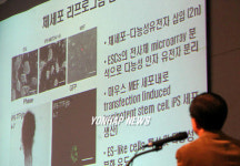 고려대학교교육관cafepurpur | 생명윤리와 연구윤리의 현황과 전망