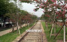 철도 폐선부지에 조성된 녹지