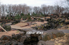 제주 한라생태숲 암석원