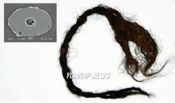 함안 성산산성에서 출토된 댕기 모양 모발