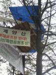 인천 계양산 나무위시위 끝내는 신정은씨