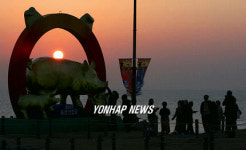 간절곶의 돼지가족 조형물