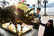 600년을 기다린 황금돼지