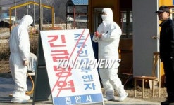 충남도 천안 AI 방역 총력