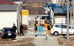 천안 조류독감 살처분 작업