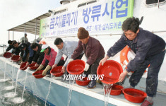 곰치야 내년에 만나자