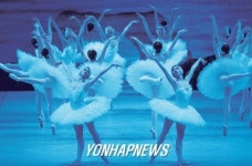 <발레 백조의 호수 국내외서 날갯짓>