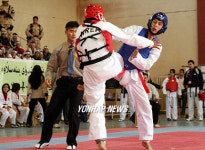 자이툰컵 태권도 경연대회