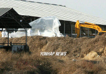 경기 안성 AI 가축 살처분