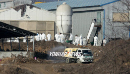 안성 AI 발생 농가 가축 살처분