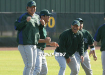 탬파베이 삼총사