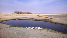 고비가든에 흐르는 샘물