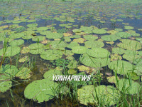 습지보호지역 멸종위기종 다수 발견