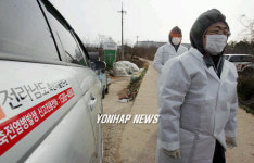 AI 전남도 비상