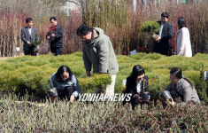 산림조합 봄철 나무시장 개장
