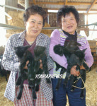 새끼 염소 5마리, 경사 났어요