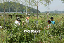 친환경 주말농장 인기