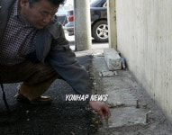 사라진 면사무소 게시판