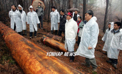남양주 재선충병 발생 현장 조사
