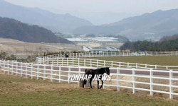 개장 앞둔 장수 경주마목장