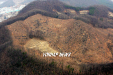 재선충에 습격 당한 경기 광주