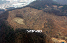 재선충에 습격 당한 경기 광주