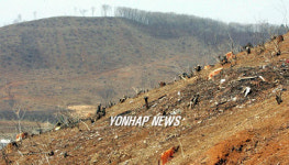 재선충에 습격 당한 경기 광주