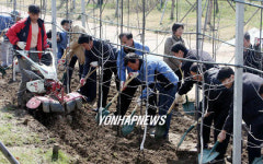 뚝섬 서울 숲에 사과나무 심어요!