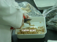 선충 선별 준비하는 연구원