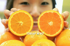 국산 오렌지가 훨씬 맛있네요