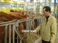 근심 가득한 한우사육 농민