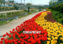 수원천 튤립축제에 오세요
