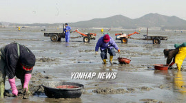 "바지락이 어디있나"