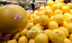 공습시작 할 미국과일들