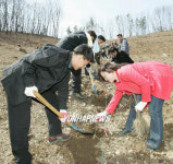 재선충 피해지 나무심기