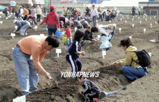 부산 농협 주말농장 개장