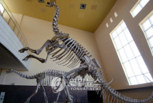 1억년 전 공룡화석 볼 수 있어요