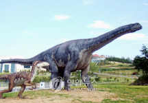 1억년 전 공룡화석 볼 수 있어요