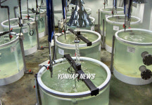 서해수산연구소 해양인공생태계 시스템