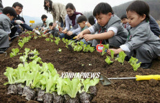 도심 영농체험터 주말농장 개장