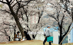 자장면 시키신 분!!!